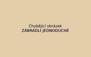 Zábradlí lamino/kov jednoduché